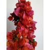 Kép 1/2 - Bougainvillea-Murvafürt Narancsos lila