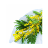 Kép 3/3 - Nortene Hivertex PP átteleltető növénytakaró, 1 x 10m, 45 g/m²