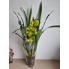 Kép 2/3 - zold_cymbidium_