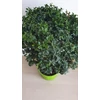 Kép 3/4 - Ausztrál kaviár citrom Finger Lime
