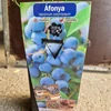 Kép 1/2 - afonya