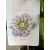 Kép 6/6 - helleborus_cinderella_