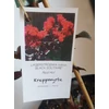 Kép 2/4 - lagerstroemia red hot - Selyemmirtusz 