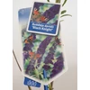 Kép 4/4 - Buddleia davidii 'Black Knight' – Sötétlila virágú nyáriorgona