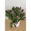 Kép 3/4 - polygala_bibi_pink_