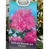 Kép 1/2 - Rhododendron Pintail
