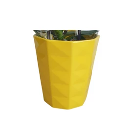 Kasó sárga színben