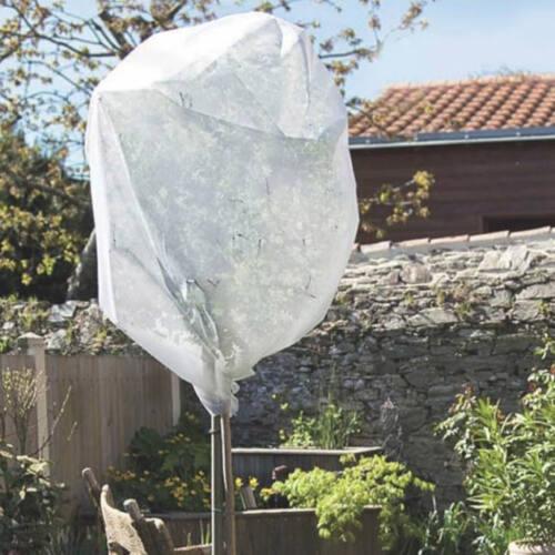 Nortene Wintertex 50g/m2, 3,2 x 5 m